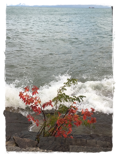 KakaoTalk_20191017_091734709.jpg