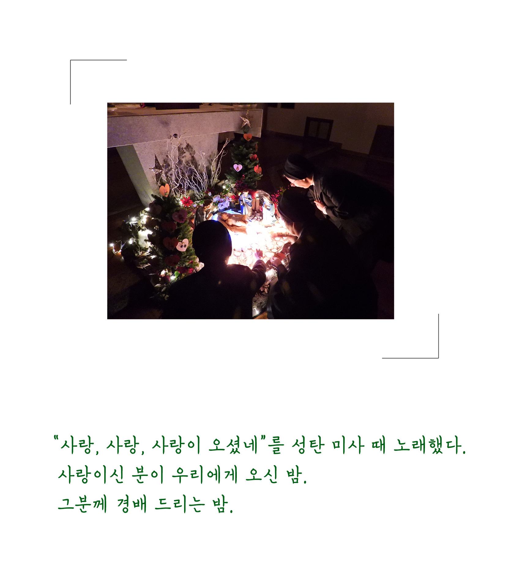 성탄.jpg