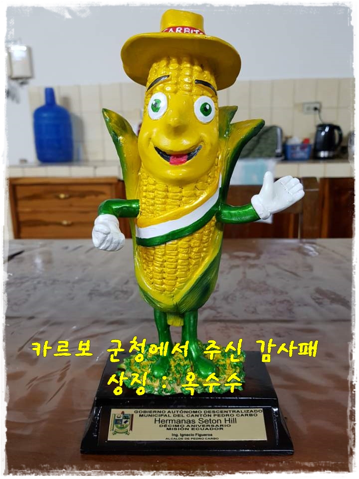 군청에서 주신 감사상징 옥수수-1.jpeg