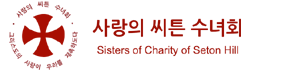 사랑의 씨튼 수녀회