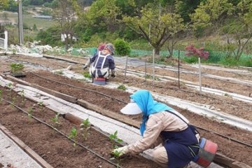 은티 공동체