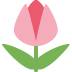 1f337